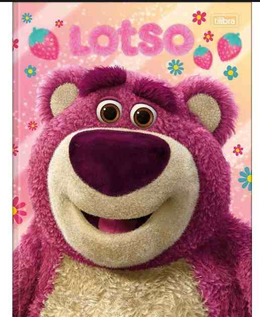 CADERNO BROCHURAO LOTSO C.D.